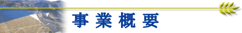 ƊTv