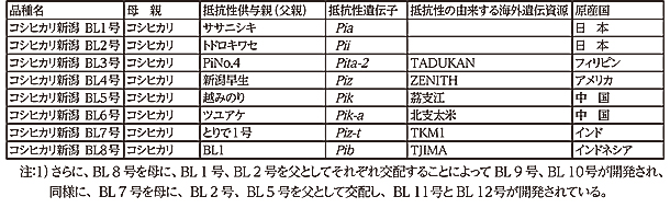 ʐ^P@Aw{