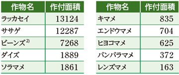 表１　アフリカにおけるマメ科作物の作付面積（単位：1000ha）