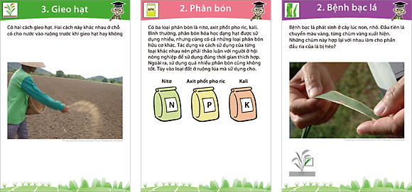 図４　ベトナム語版レシピカードの例。回答として適切なカードの色と番号で子供たちに指示をする。因みに、左はグリーンで番号は３、中はピンクで番号は２、右はパープルで番号は２（ＮＰＯパンゲア提供）