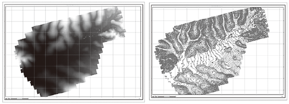 図４　左：Photoscanよって作成されたDEM（数値標高モデル：Digital Elevation Model）画像　右：DEM画像から作成された等高線図
