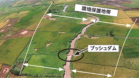 写真３　ブッシュダムと河川周辺に広がる水田