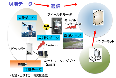 図１　フィールドモニタリングシステムの概略図