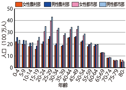 図１　中国の年齢性別人口分布