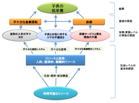 図４　子供の低栄養コンセプト図（UNICEF）
）