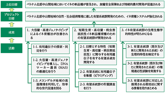 図１　プロジェクトのアウトライン