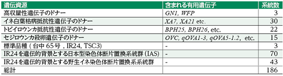 表１　ベトナム国立農業大学に導入・移管した系統