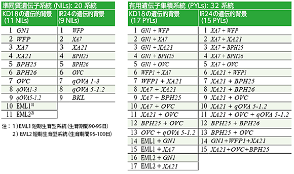 表２　プロジェクト（2011〜15）で育成された有望系統群