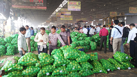 写真４　インドへの官民ミッション派遣