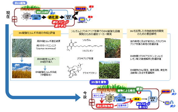 図１　フードセキュリティの４つの構成要素