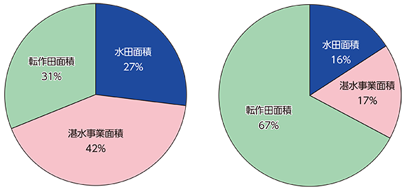 図６　白川中流域の営農状況（左：2015年　右：2016年）