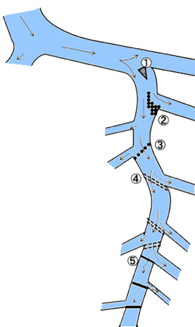 図２　滝名川での取水堰の配置