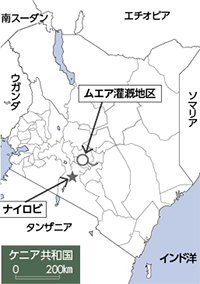 写真１　ムエア灌漑地区