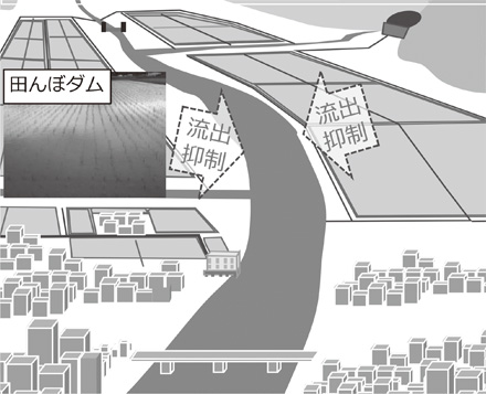 「水　＋　防災」田んぼダムを活用した浸水被害リスクの低減