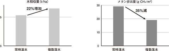 図２　複数落水と常時湛水の水稲収量およびCH4排出量の比較