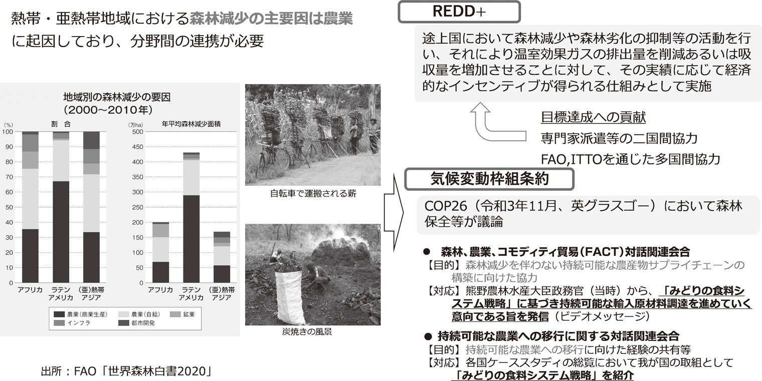 図４　森林保全の取組