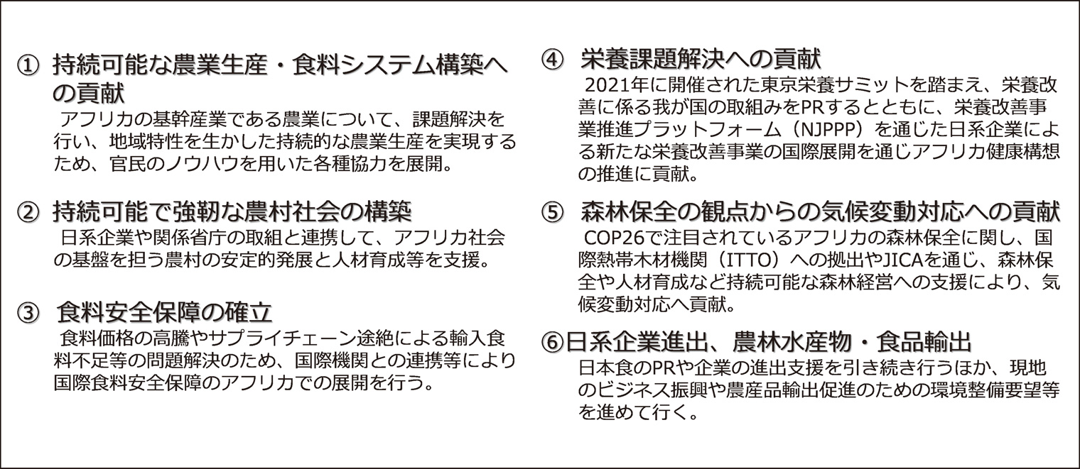 図７　TICAD8に向けた論点