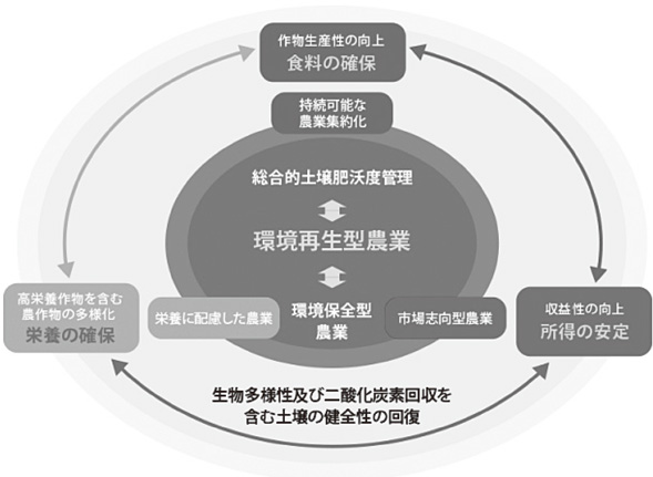 図１　SAA新５カ年戦略のロジックモデル