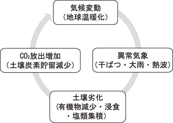 図２　土壌劣化と気候変動の負の連鎖