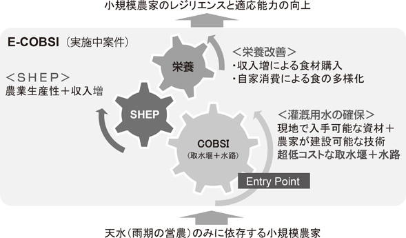 図１　現在実施中のJICA事業E-COBSIのコンセプト
