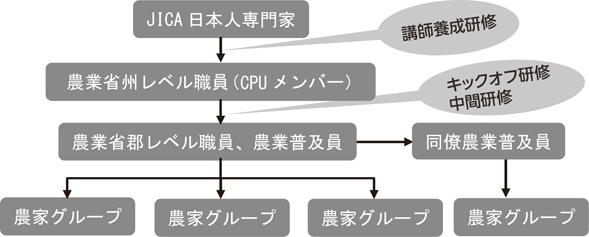 図２　COBSI普及モデル