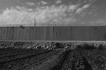 写真１　分離壁によって分断されたパレスチナ人の農地（カルキリヤ、筆者撮影）