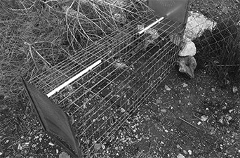 写真18　農家が果樹園に設置しているイノシシを捕獲するための箱罠（トゥルカレム、筆者撮影）