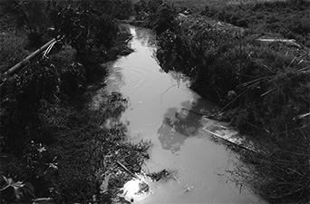 写真20　イスラエルからパレスチナ側の農地に排出されている未処理の下水（カルキリヤ、筆者撮影）