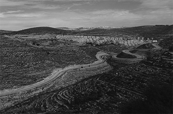 写真３　オリーブ畑と村落を分断する入植地と接続道路（エルサレム、筆者撮影）