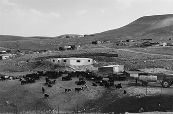 写真６　牧草地の減少の影響を受けやすい遊牧民の集落（ラマッラ、筆者撮影）