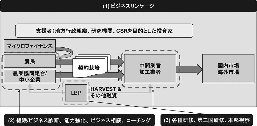 図２　成果１～３に係る活動の対象範囲