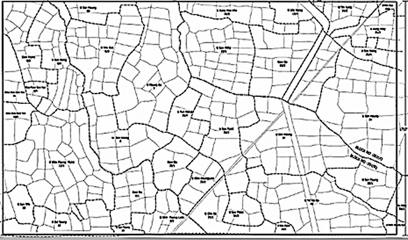 図７　圃場整備前の水田（ミャンマー）