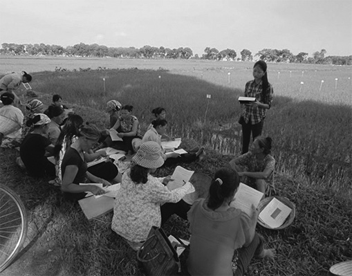 写真１　SRI農法の講習を受ける参加農民