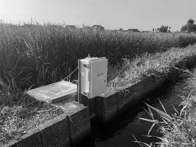 paditch gate 02+