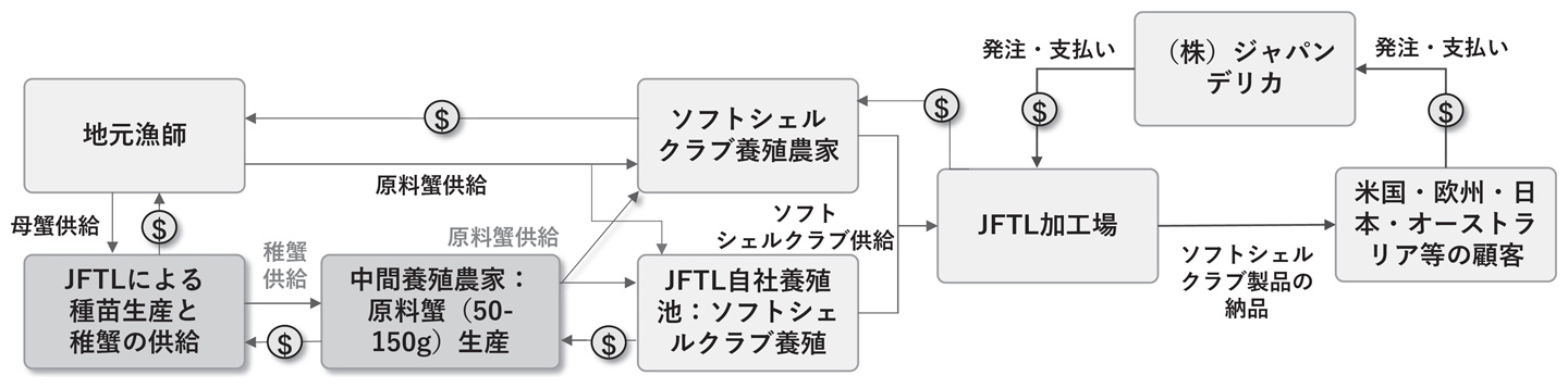 ジャパン・デリカ社による種苗生産ビジネスモデル