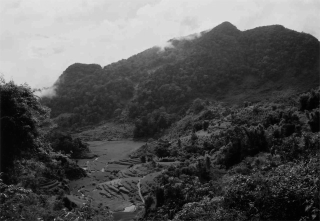 ホアビン省タンラック郡A村の風景