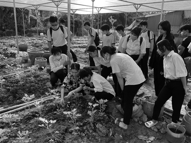 学校菜園で有機野菜の作り方を学ぶ高校生