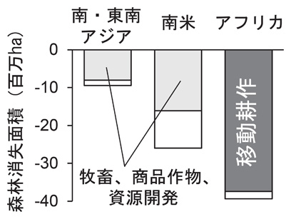 2010年代の森林消失面積と要因の地域比較