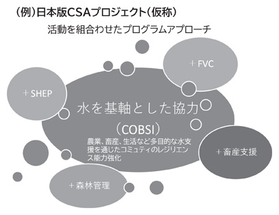 我が国の知見を活かす日本版CSA