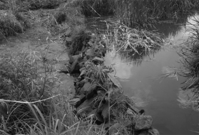 写真1　自然素材を利用した取水堰