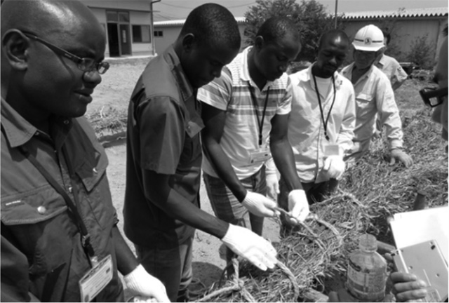 写真４ 日本での粗朶製作実習