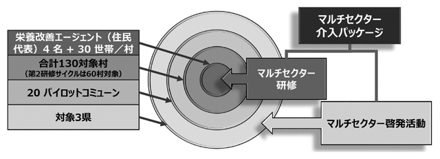 図2 マルチセクター介入パッケージの概念図