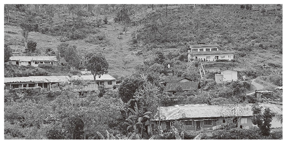 写真３　ラインルーム全景。右上に学校が見える。日本で言うところの中学校くらいまでは農園内にあるが、それ以上は街まで行かないと無い。（ヌワラエリヤ県。筆者撮影）