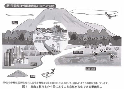 拡大図が御覧になれます。
