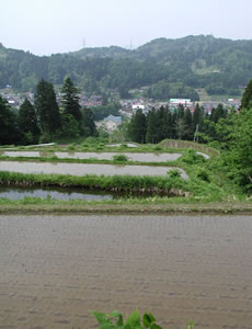 拡大して御覧いただけます