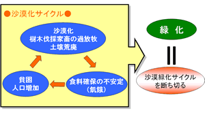 図1 乾燥地での沙漠緑化・農村開発の背景