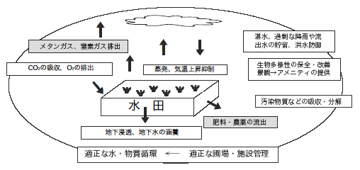 }Q@cɂ鑽ʓI@\̔