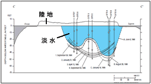 図3 淡水レンズ断面図(マーシャル諸島)