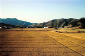 写真6